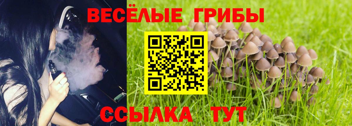 Псилоцибиновые грибы ЛСД  Галлюциногенные грибы Psilocybe  Балтийск  Вход с VPN 